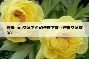 自带rmb交易平台的传奇下载（传奇交易软件）