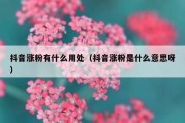 抖音涨粉有什么用处（抖音涨粉是什么意思呀）