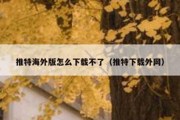 推特海外版怎么下载不了（推特下载外网）
