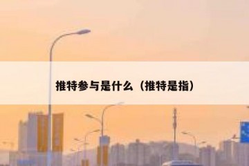 推特参与是什么（推特是指）