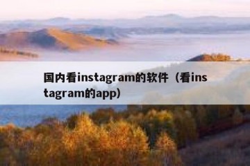 国内看instagram的软件（看instagram的app）