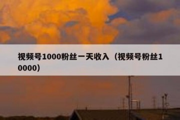 视频号1000粉丝一天收入（视频号粉丝10000）