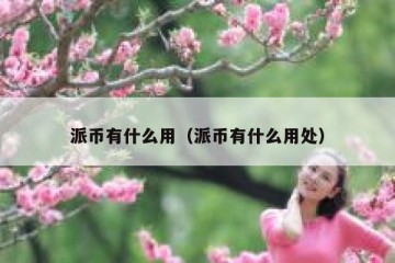 派币有什么用（派币有什么用处）