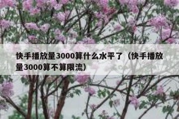 快手播放量3000算什么水平了（快手播放量3000算不算限流）
