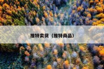 推特卖货（推特商品）