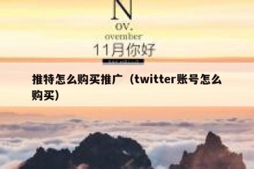 推特怎么购买推广（twitter账号怎么购买）