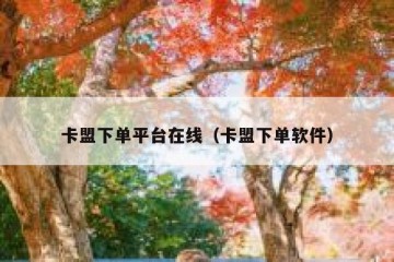 卡盟下单平台在线（卡盟下单软件）