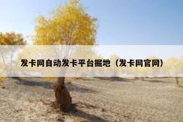 发卡网自动发卡平台掘地（发卡网官网）