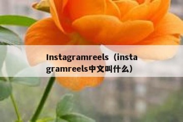 Instagramreels（instagramreels中文叫什么）
