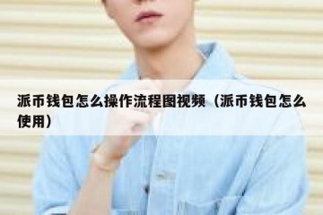 派币钱包怎么操作流程图视频（派币钱包怎么使用）