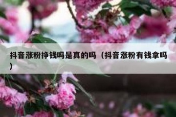 抖音涨粉挣钱吗是真的吗（抖音涨粉有钱拿吗）