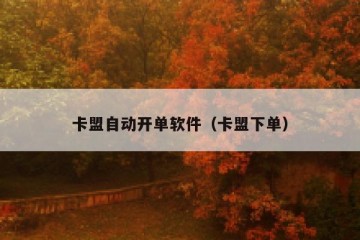 卡盟自动开单软件（卡盟下单）