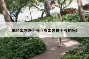 低价出售快手号（有出售快手号的吗）