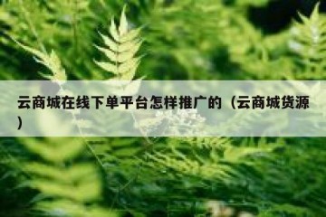 云商城在线下单平台怎样推广的（云商城货源）