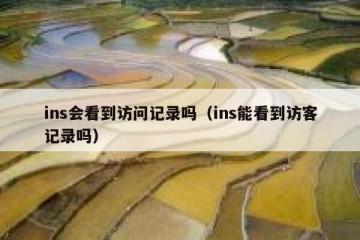 ins会看到访问记录吗（ins能看到访客记录吗）