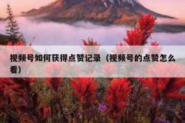 视频号如何获得点赞记录（视频号的点赞怎么看）