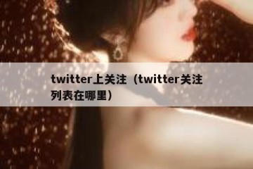 twitter上关注（twitter关注列表在哪里）