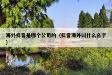 海外抖音是哪个公司的（抖音海外叫什么名字）