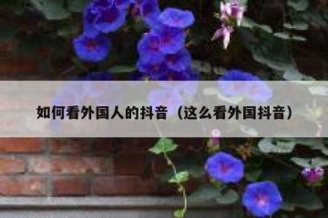 如何看外国人的抖音（这么看外国抖音）