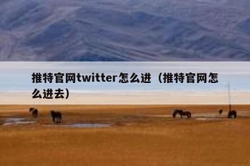 推特官网twitter怎么进（推特官网怎么进去）