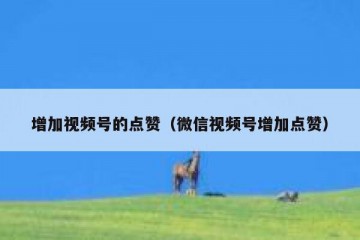 增加视频号的点赞（微信视频号增加点赞）