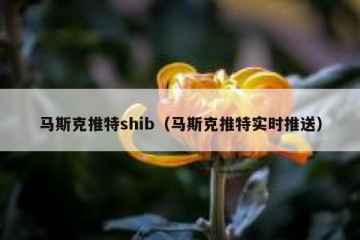 马斯克推特shib（马斯克推特实时推送）
