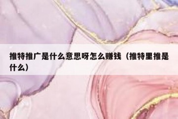 推特推广是什么意思呀怎么赚钱（推特里推是什么）