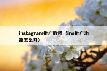 instagram推广教程（ins推广功能怎么开）