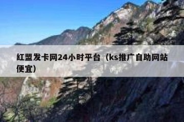 红盟发卡网24小时平台（ks推广自助网站便宜）