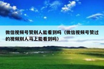 微信视频号赞别人能看到吗（微信视频号赞过的视频别人马上能看到吗）