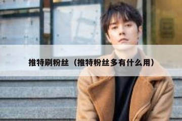 推特刷粉丝（推特粉丝多有什么用）