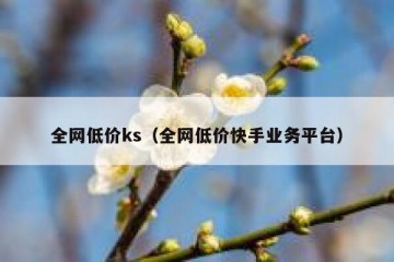全网低价ks（全网低价快手业务平台）