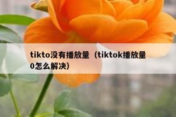 tikto没有播放量（tiktok播放量0怎么解决）