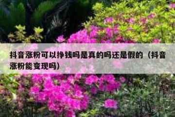 抖音涨粉可以挣钱吗是真的吗还是假的（抖音涨粉能变现吗）