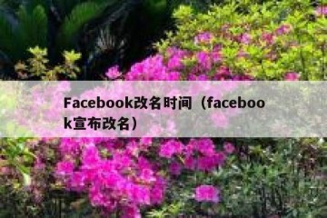 Facebook改名时间（facebook宣布改名）