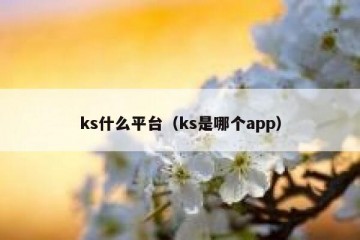 ks什么平台（ks是哪个app）