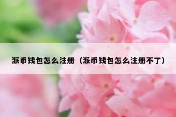 派币钱包怎么注册（派币钱包怎么注册不了）