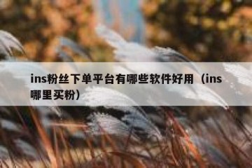 ins粉丝下单平台有哪些软件好用（ins哪里买粉）