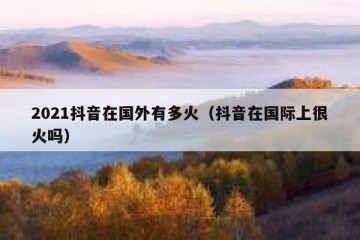 2021抖音在国外有多火（抖音在国际上很火吗）