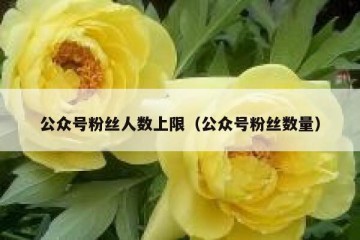 公众号粉丝人数上限（公众号粉丝数量）
