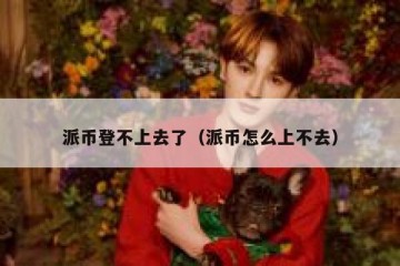 派币登不上去了（派币怎么上不去）