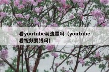 看youtube耗流量吗（youtube看视频要钱吗）