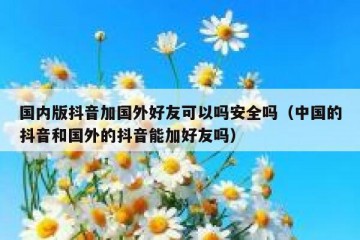 国内版抖音加国外好友可以吗安全吗（中国的抖音和国外的抖音能加好友吗）