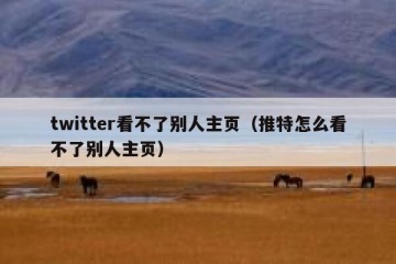 twitter看不了别人主页（推特怎么看不了别人主页）