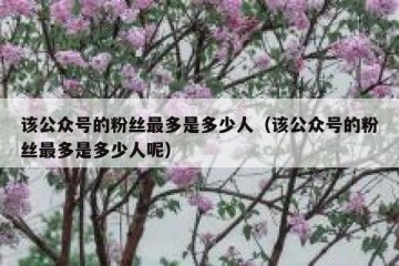 该公众号的粉丝最多是多少人（该公众号的粉丝最多是多少人呢）