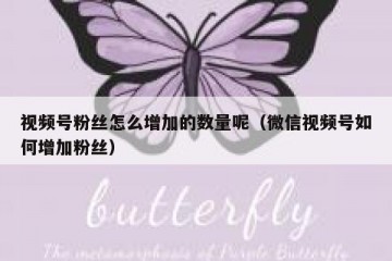视频号粉丝怎么增加的数量呢（微信视频号如何增加粉丝）