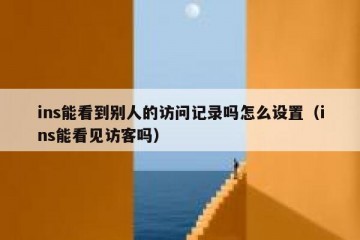 ins能看到别人的访问记录吗怎么设置（ins能看见访客吗）