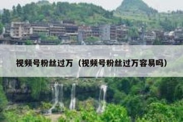 视频号粉丝过万（视频号粉丝过万容易吗）