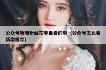 公众号新增粉丝在哪里看的啊（公众号怎么看新增粉丝）