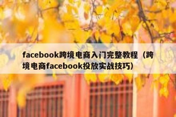 facebook跨境电商入门完整教程（跨境电商facebook投放实战技巧）